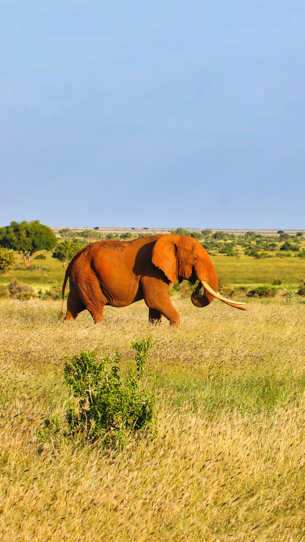 Africa’s Natural Beauty