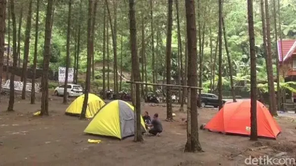 Kemping Asyik di Guci Forest