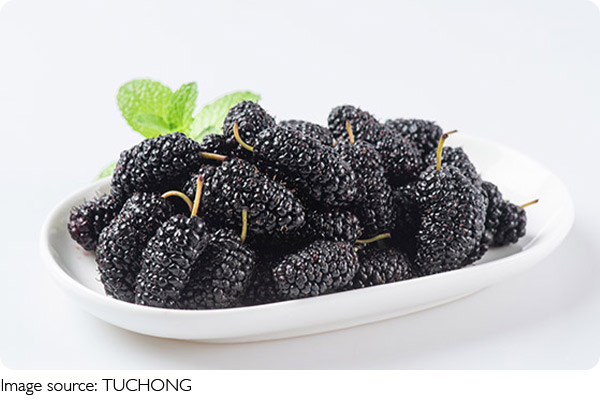 Mulberry Wellness Boost