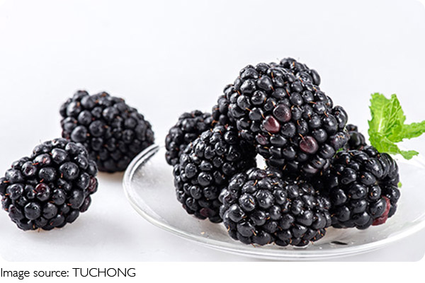 Mulberry Wellness Boost