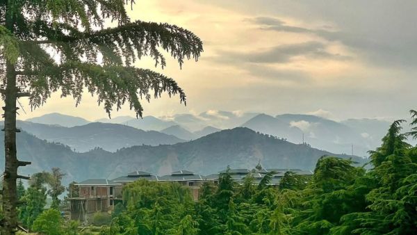 Hill Station Near Shimla: A beautiful place like heaven is just 50 km from Shimla, will be relaxed here Hill Station Near Shimla: A beautiful place like heaven is just 50 km from Shimla, will be relaxed here