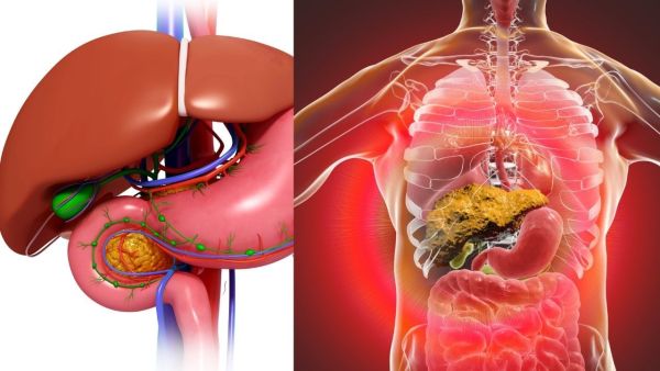 These seven concentrations in the body tell that any limb is getting weak inside, know from the doctor