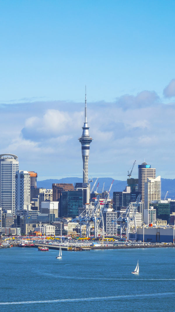 Auckland Sky Tower Adventure