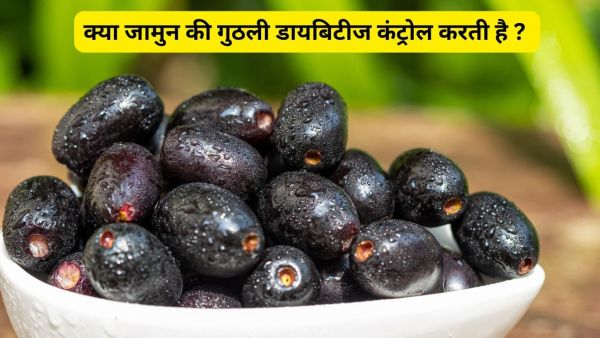 Does the jamun kernels really control diabetes? Expert told the truth