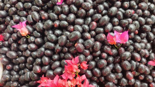 Jamun is tasty