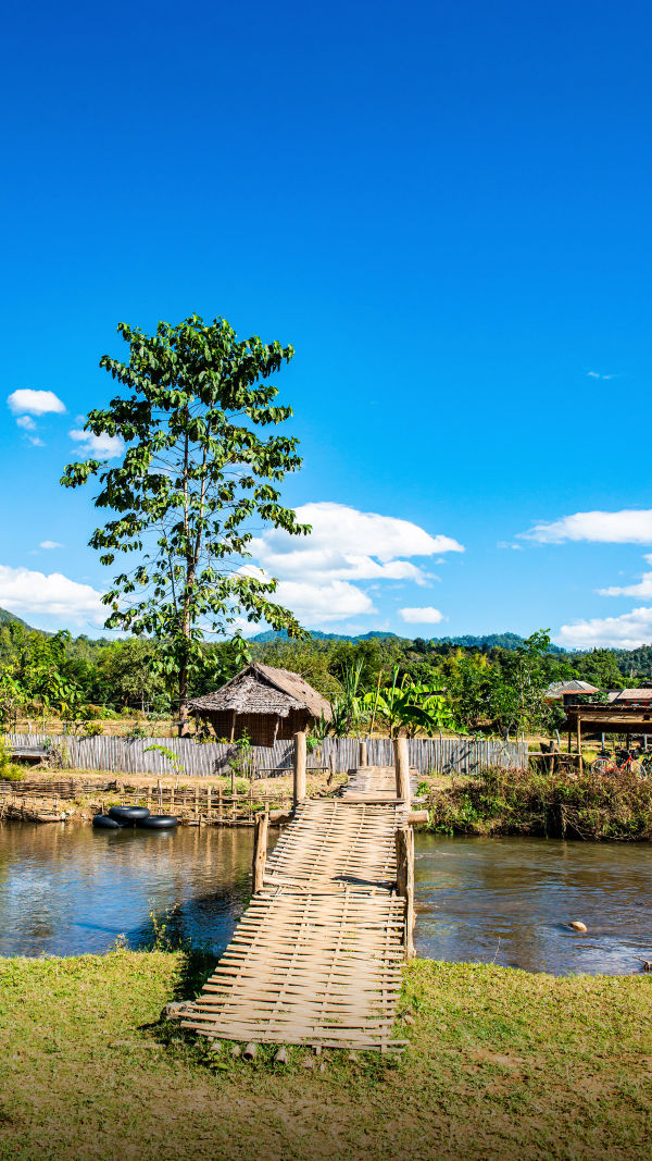 Northern Thai Life