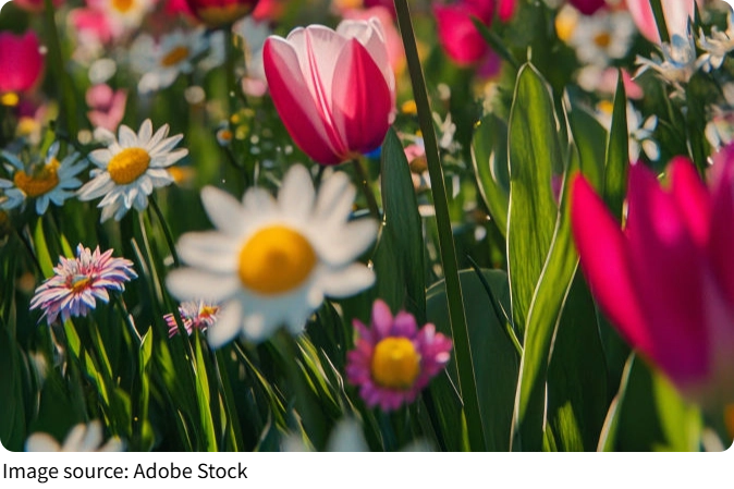 Neşeli Gülümsemesi