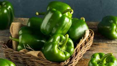 Make roasted capsicum soup on weekends, this recipe will be useful. Roasted Bell Pepper Soup Easy Recipe | Herzindagi