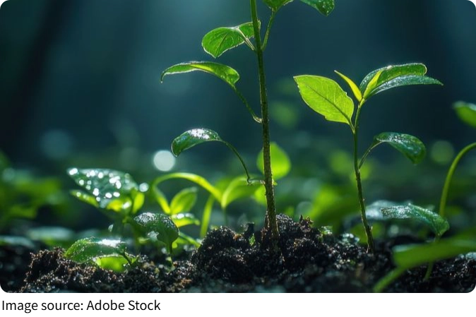 Respiração das plantas