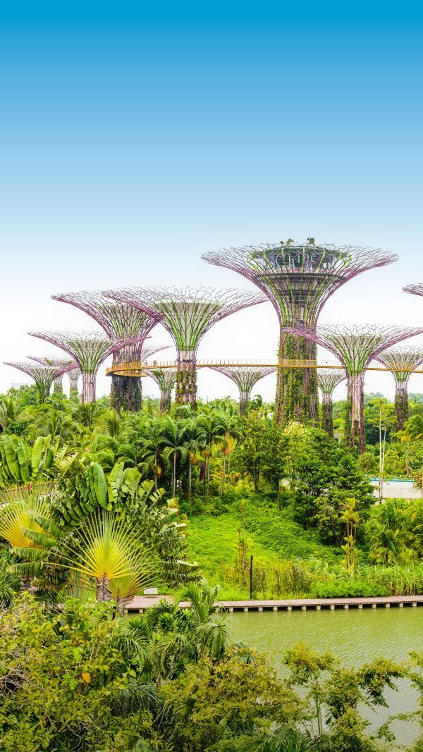 Singapore's Sky Garden