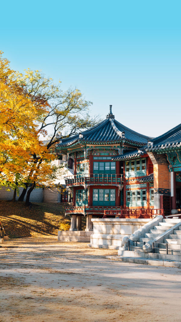 Seoul's Iconic Palace
