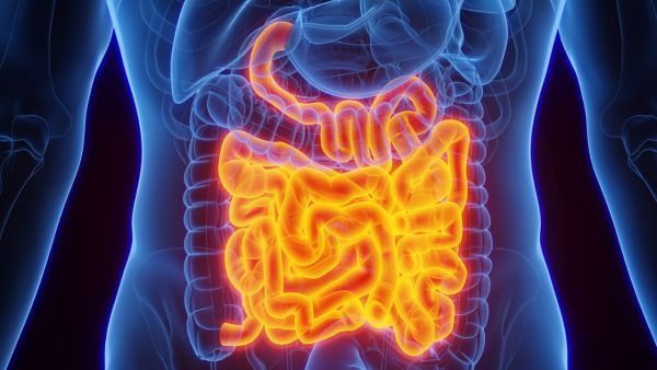 Why is Gut called second brain? Know the connection of the stomach and brain from the doctors of AIIMS