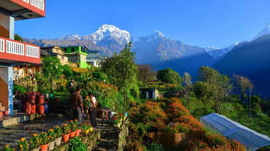 Hill Stations Near Greater Noida With Distance, Now you have been planned in summer, so go around Greater Noida, such hill stations, who do not compete with someone - Hill Station - Hill Station