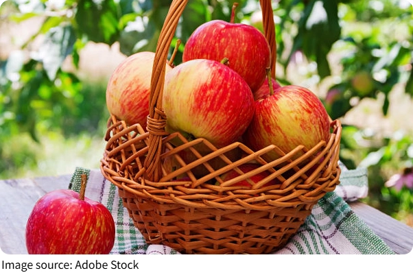 Fitness Fruit Guide