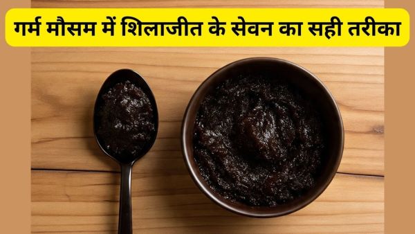 What is the right way to eat Shilajit in summer and monsoon? Learn from experts