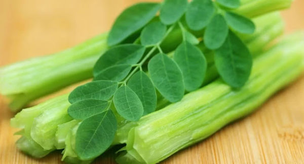Life changed by eating leaves of drumstick on an empty stomach just 14 days, know how this miracle happened