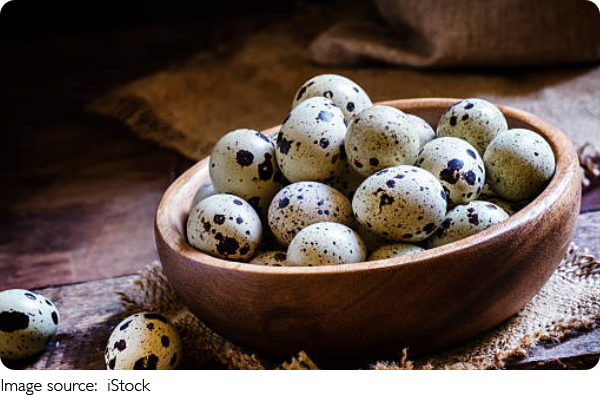 Bıldırcın Yumurtası Tarifi