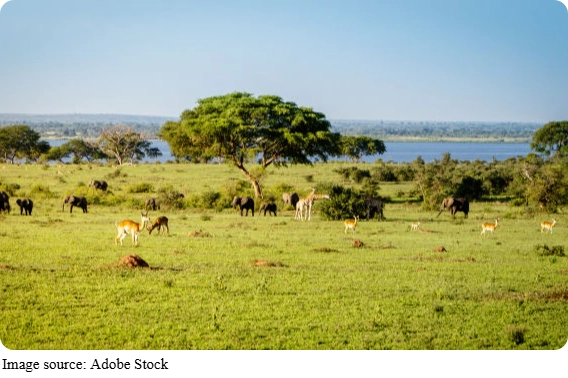 Bahçede Mikro İklim