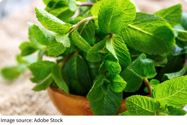 Manfaat Sayuran Hijau