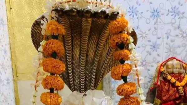 NAG Panchami 2025: Why not use iron things on Nag Panchami? Learn the reason behind this