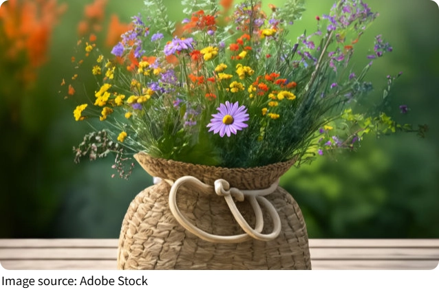 Blooming Still Life