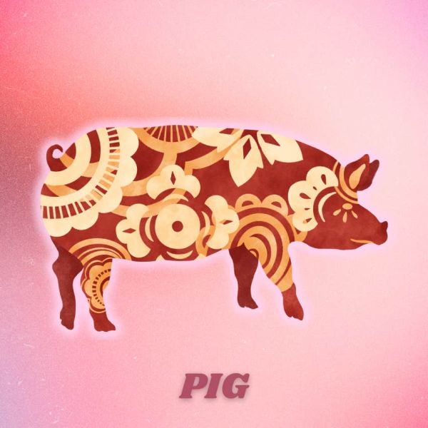 pig chinese zodiac signs weekly horoscope july 28 - august 3, 2025