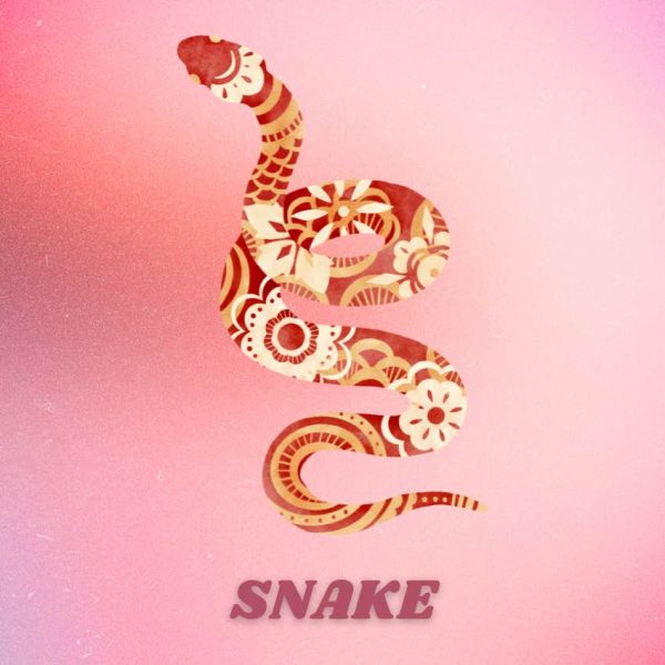 snake chinese zodiac signs weekly horoscope july 28 - august 3, 2025