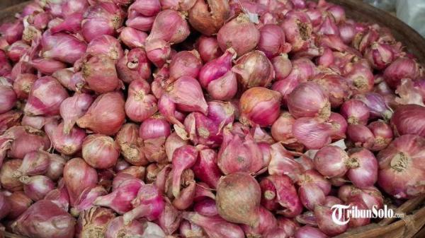 HARGA NAIK - Komoditas bawang merah di Pasar Bunder Sragen yang mengalami kenaikan sepekan terakhir, Sabtu (26/7/2025). Sepekan lalu harganya masih Rp 40.000 per kilogram.