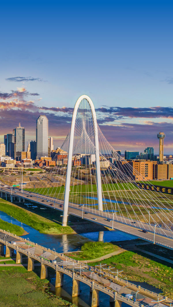 Dallas Skyline Soar