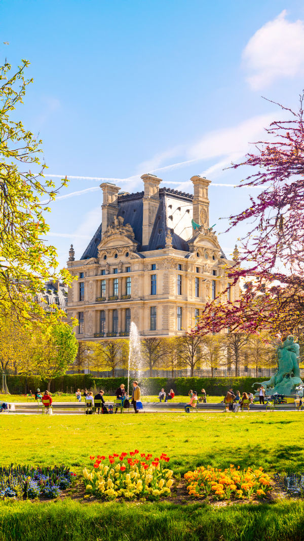 Paris Bloom