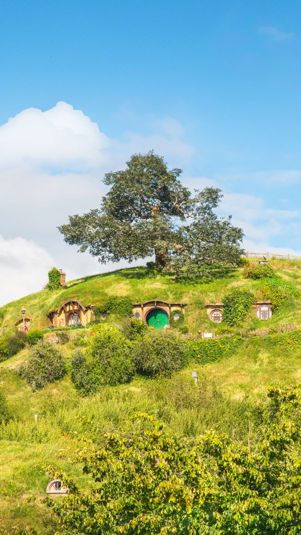 Hobbiton's Hidden Wonders