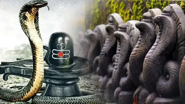 Nag Panchami 2025: Which 8 Nagas are worshiped on Nagpanchami… What is its importance and worship method?