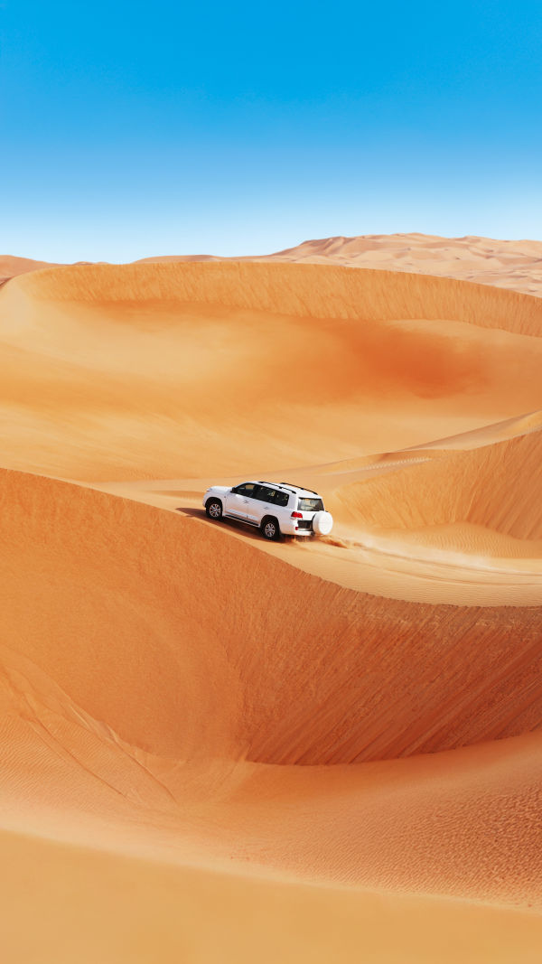 Unreal Dune Safari Exposed?