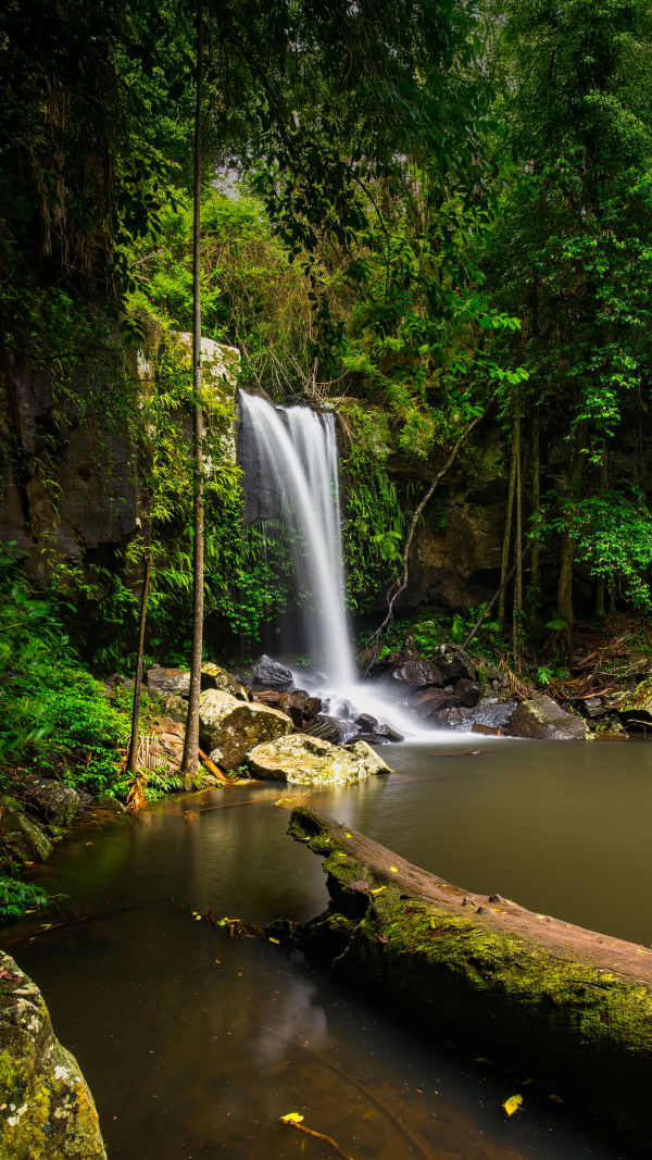 Tamborine: A Taste of Magic