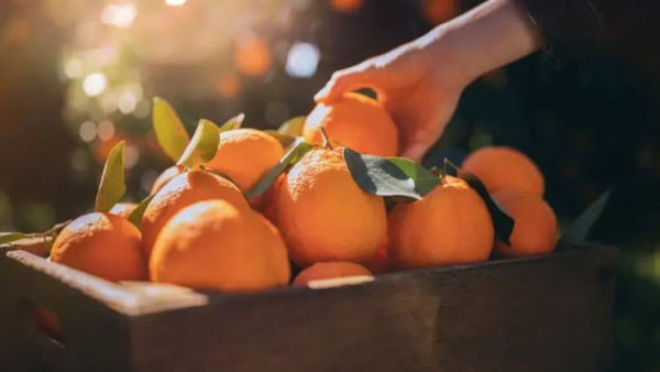 Eat orange for breakfast for 1 month again, see amazing, it is time for these 5 diseases ..