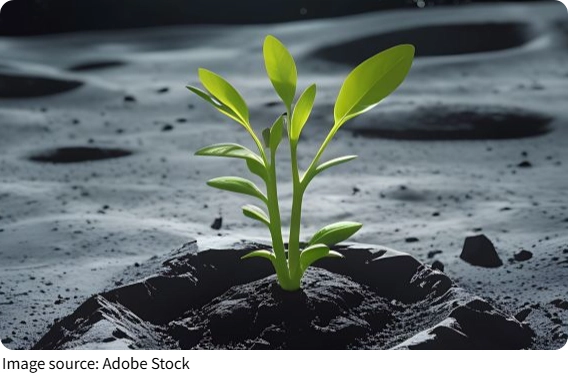 Plants Sprouting on the Moon
