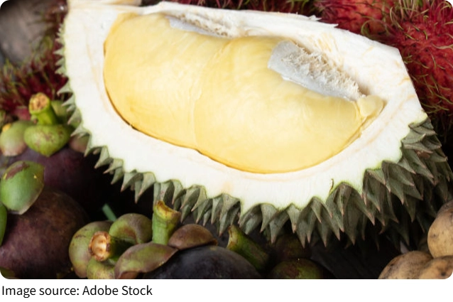 Exotic Fruit Wonders