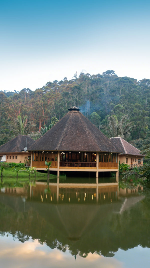 Wild Lemur Safaris