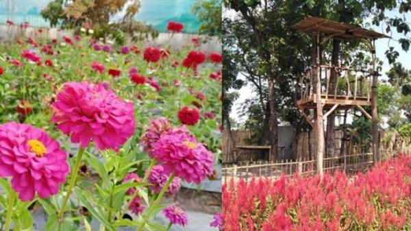WISATA SUKOHARJO - Taman Bunga Bloemencorso di Desa Ngemplak, Kartasura, Sukoharjo, Jawa Tengah, pada 2023 lalu. Berikut rekomendasi wisata Sukoharjo.
