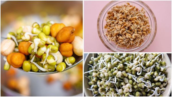 Include these 7 types of sprouts in breakfast, energetic will remain throughout the day