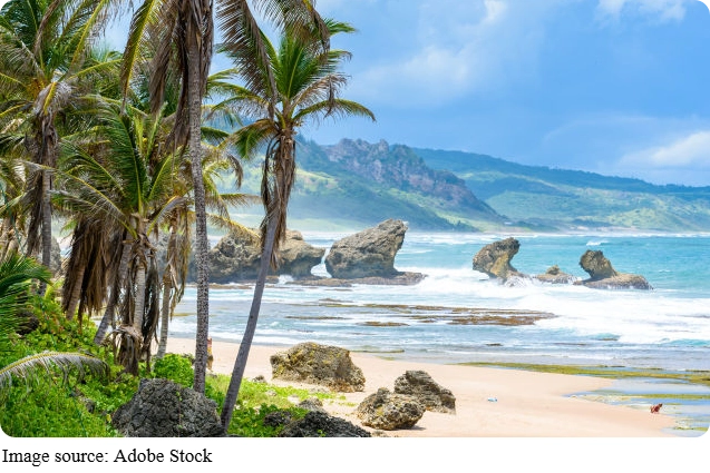 Barbados, Bold & Bright