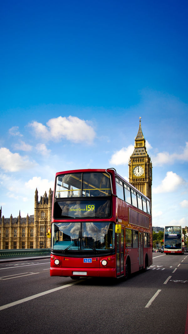 Mastering Local Transport