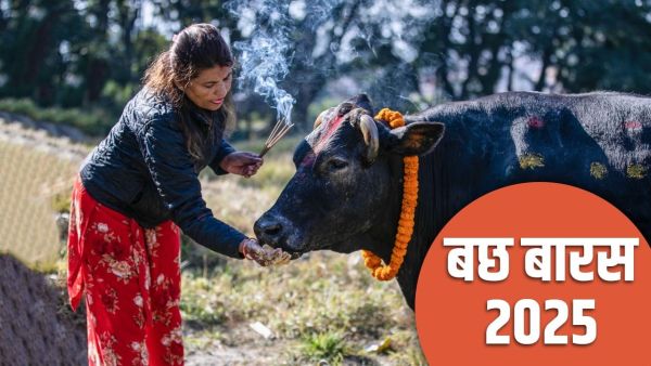 Bach Baras 2025: For the long life of the son, do this special worship on the calf bars, know the importance and story of the fast