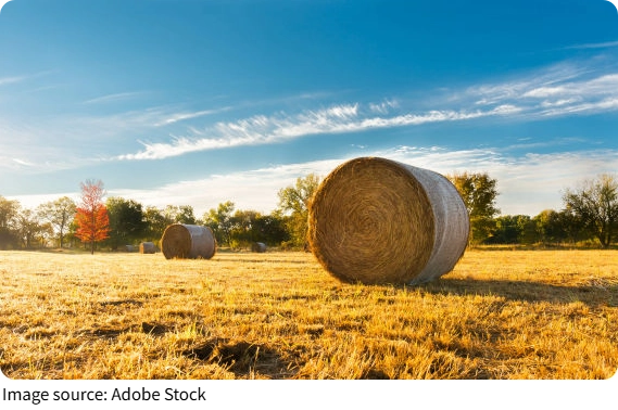Sürdürülebilir Tarım