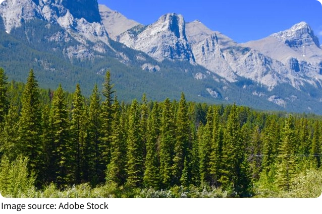 Wildlife Wins: 2025 Stories