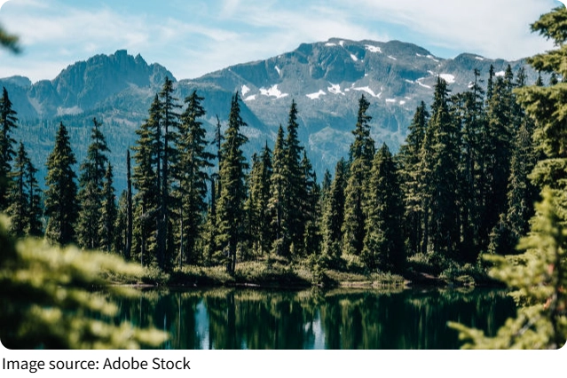 Lịch trình ngắm mây Feldberg