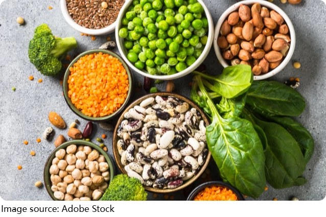 Alimentos Inmunológicos