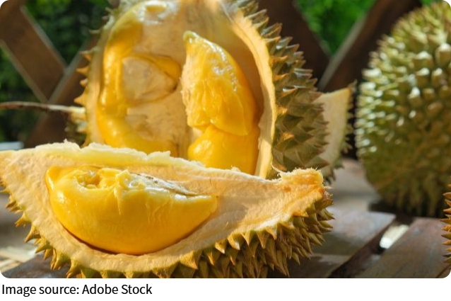 Durian Fun
