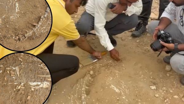 200 million year old fossil found in Jaisalmer, older than dinosaur, scientists told the name 200 million year old fossil found in Jaisalmer, older than dinosaur, scientists told the name