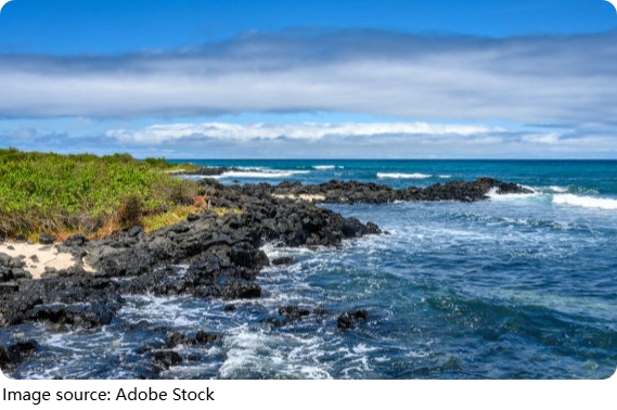 Panduan Liveaboard Galapagos